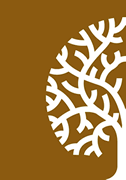 Salus Trading